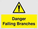danger-falling-branches~